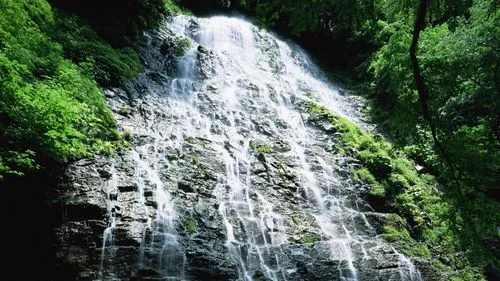 数字化节能节能